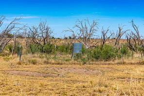 1 County Road 163 - Photo 25