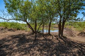 1 County Road 163 - Photo 5