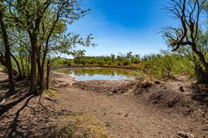 1 County Road 163 - Photo 6