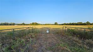 000 FM RD 513 - Photo 13