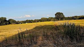 000 FM RD 513 - Photo 15