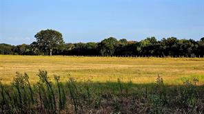 000 FM RD 513 - Photo 7