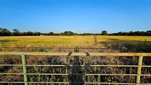 000 FM RD 513 - Photo 9