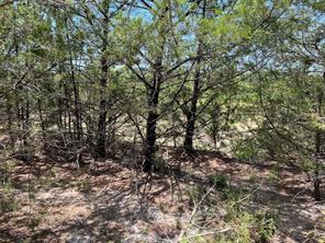 11AC Pilot Grove Road - Photo 3