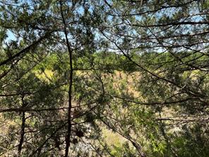 11AC Pilot Grove Road - Photo 4