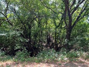 11AC Pilot Grove Road - Photo 6