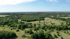 213 County Road 1560 - Photo 5