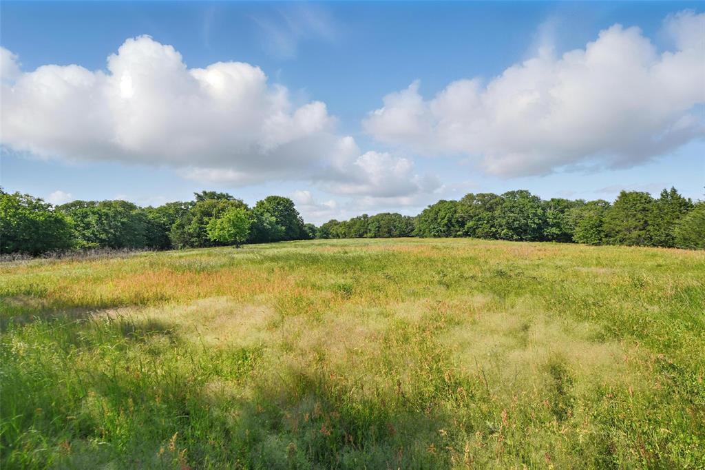 91 acres COUNTY ROAD 189 - Photo 1