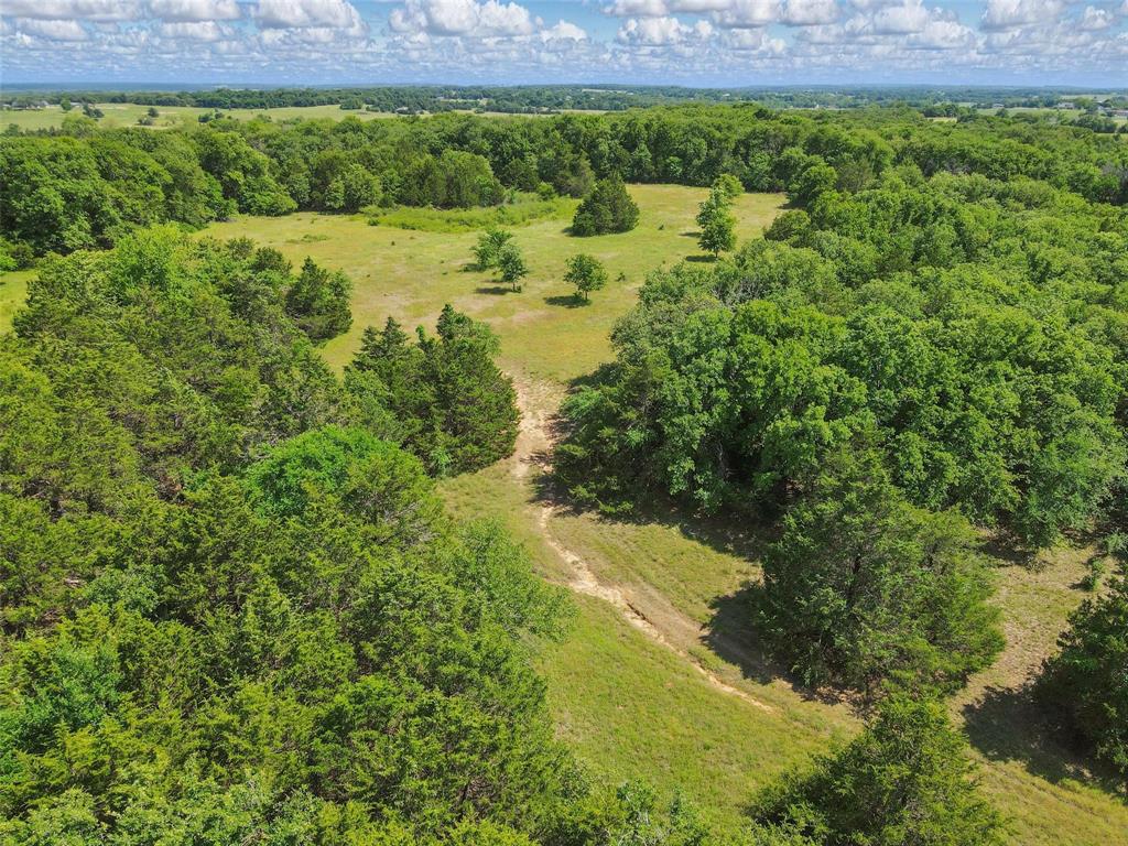 91 acres COUNTY ROAD 189 - Photo 10