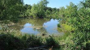 TBD County Road 136 - Photo 10