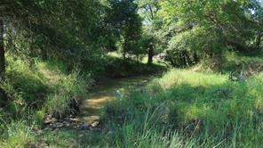TBD County Road 136 - Photo 11