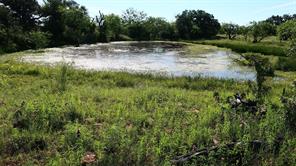 TBD County Road 136 - Photo 12