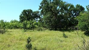 TBD County Road 136 - Photo 17