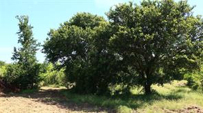 TBD County Road 136 - Photo 18