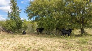 TBD County Road 136 - Photo 19