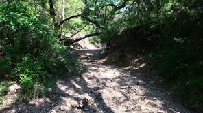 TBD County Road 136 - Photo 6