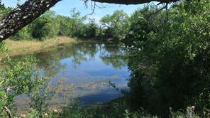 TBD County Road 136 - Photo 8
