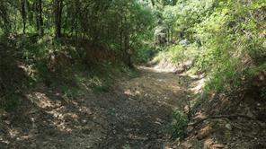 TBD County Road 136 - Photo 9