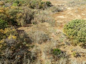 TBD County Road 3368 - Photo 10