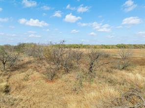 TBD County Road 3368 - Photo 14