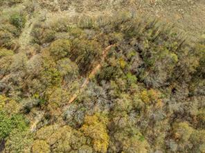 TBD County Road 3368 - Photo 6