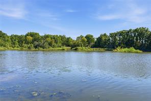 517 County Road 1364 - Photo 12