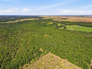 517 County Road 1364 - Photo 6