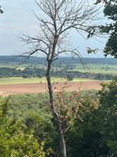 41 Mountain Top Trail - Photo 6