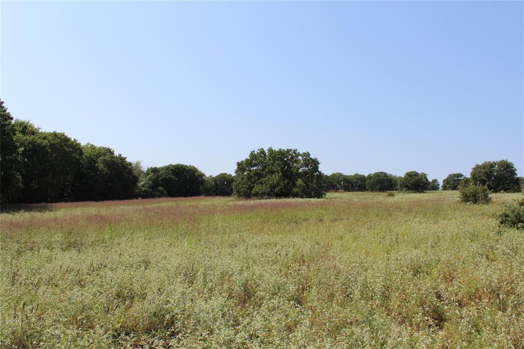 0000 Blackjack Parkway - Photo 1
