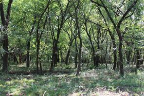 0000 Blackjack Parkway - Photo 14