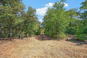 425 Cooks Lane - Photo 15
