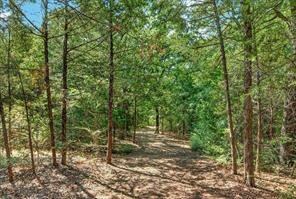 425 Cooks Lane - Photo 21