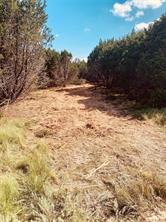 1301 Private Road 2120 - Photo 2