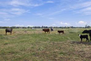 11550 Fm-195 - Photo 23