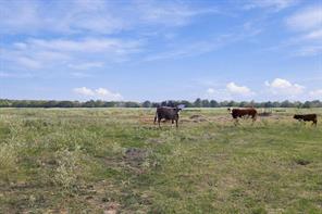 11550 Fm-195 - Photo 24
