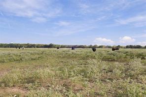 11550 Fm-195 - Photo 25