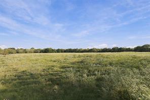 11550 Fm-195 - Photo 29