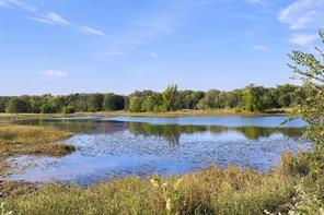 11550 Fm-195 - Photo 3