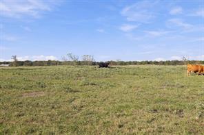 11550 Fm-195 - Photo 30