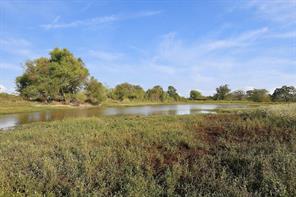 11550 Fm-195 - Photo 33