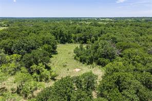 50 acres FM 583 - Photo 17