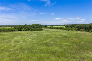 50 acres FM 583 - Photo 9