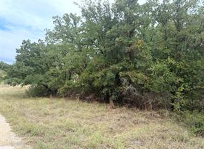 207 Lindsey Lane - Photo 2