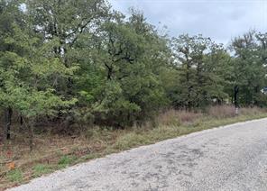 207 Lindsey Lane - Photo 3
