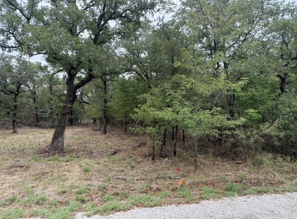 207 Lindsey Lane - Photo 4