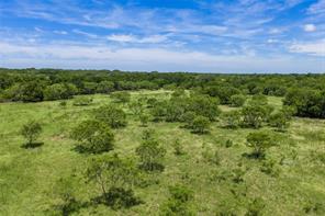 153 Acres FM 583 - Photo 10