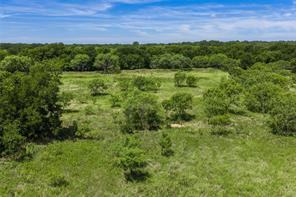 153 Acres FM 583 - Photo 12