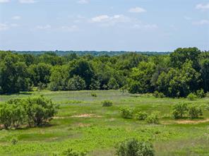 153 Acres FM 583 - Photo 16