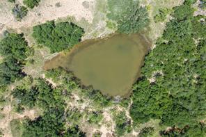 153 Acres FM 583 - Photo 25