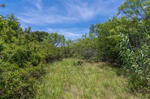 153 Acres FM 583 - Photo 40